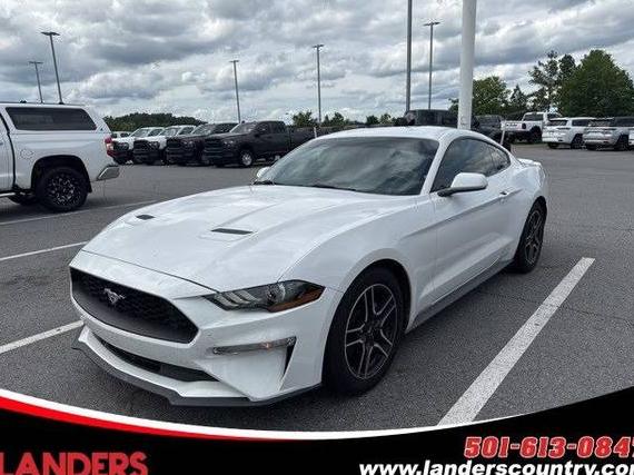 FORD MUSTANG 2019 1FA6P8TH1K5163466 image