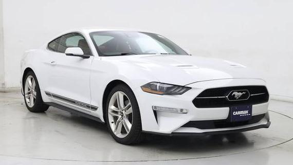 FORD MUSTANG 2019 1FA6P8TH3K5128928 image
