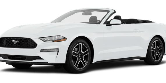 FORD MUSTANG 2019 1FATP8UH4K5161454 image