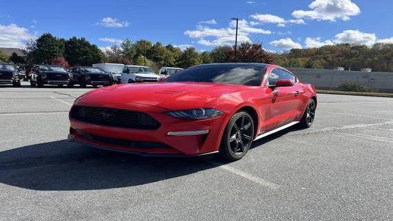 FORD MUSTANG 2019 1FA6P8TH6K5180473 image FORD MUSTANG 2019 1FA6P8TH6K5180473 image