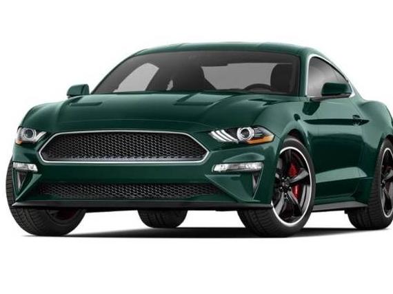 FORD MUSTANG 2019 1FA6P8K0XK5504570 image