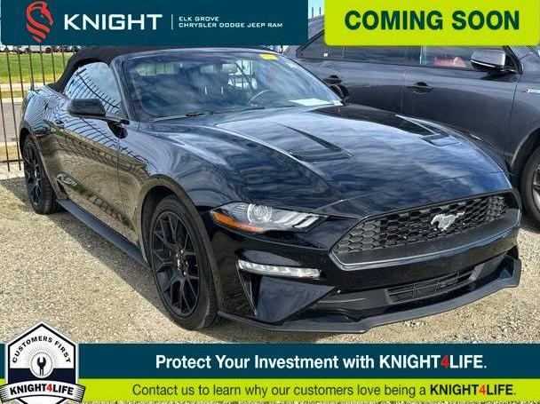 FORD MUSTANG 2019 1FATP8UH4K5188301 image