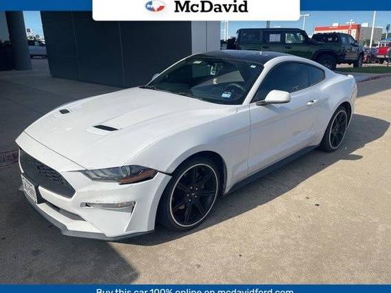 FORD MUSTANG 2019 1FA6P8TH3K5122871 image