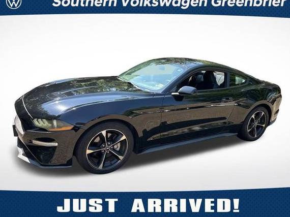 FORD MUSTANG 2019 1FA6P8TH3K5133353 image