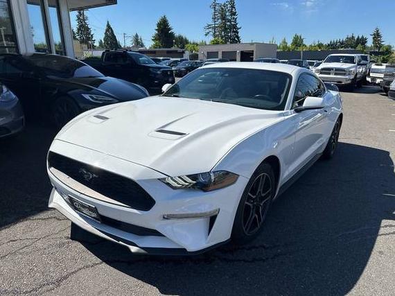 FORD MUSTANG 2019 1FA6P8TH6K5130964 image