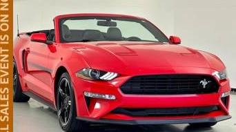FORD MUSTANG 2019 1FATP8FF8K5199829 image
