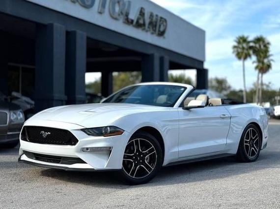 FORD MUSTANG 2019 1FATP8UH6K5170480 image