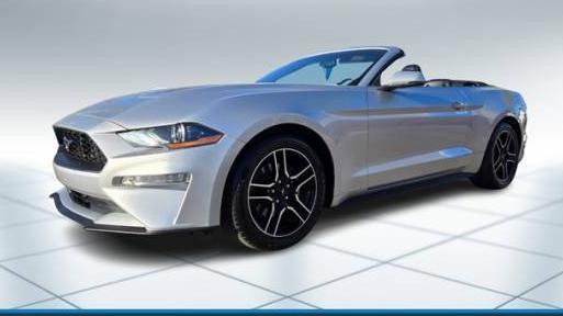 FORD MUSTANG 2019 1FATP8UH5K5131203 image