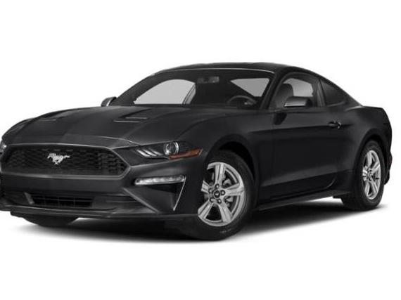 FORD MUSTANG 2019 1FA6P8CF7K5194834 image