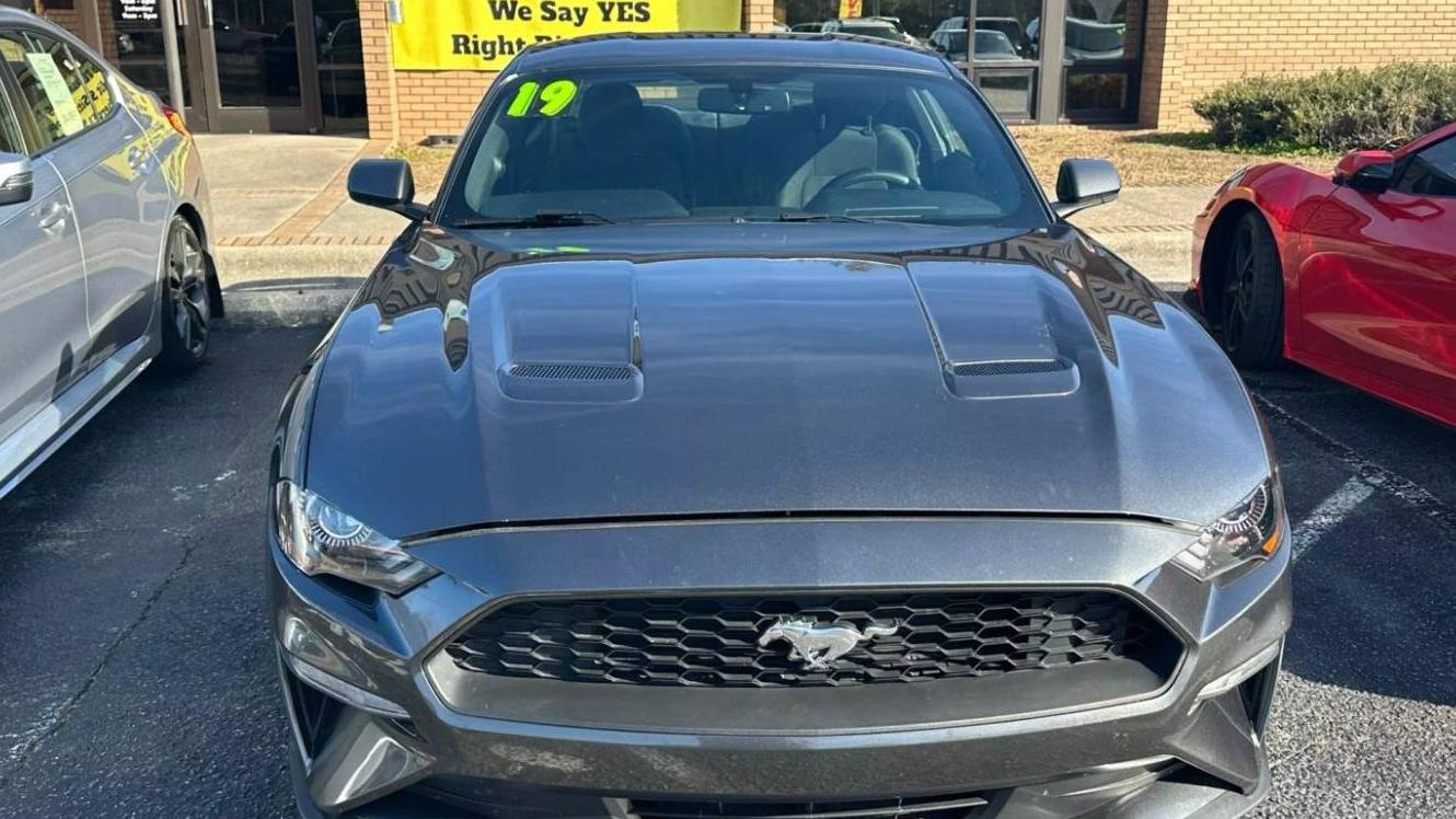 FORD MUSTANG 2019 1FA6P8TH6K5182515 image