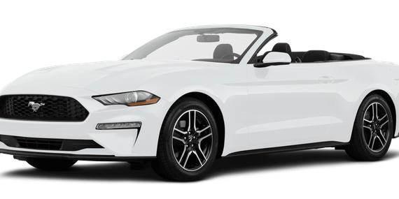 FORD MUSTANG 2019 1FATP8UH7K5149430 image