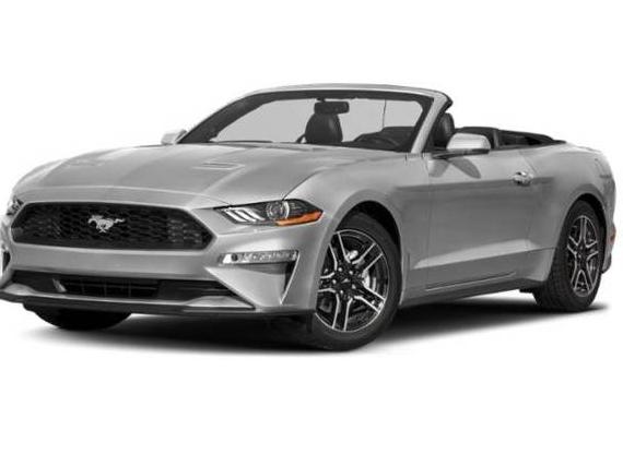 FORD MUSTANG 2019 1FATP8UHXK5149194 image