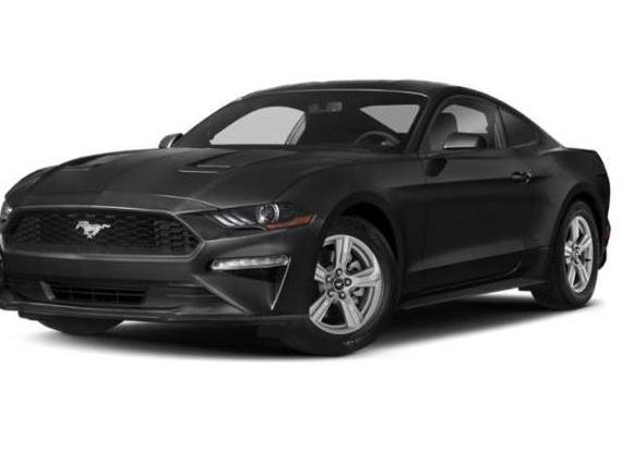 FORD MUSTANG 2019 1FA6P8TH5K5202267 image