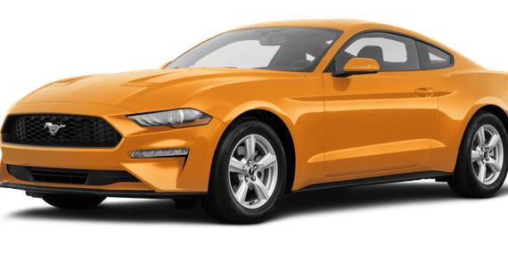 FORD MUSTANG 2019 1FA6P8TH8K5118699 image