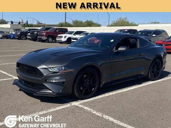 FORD MUSTANG 2019 1FA6P8TH0K5112301 image