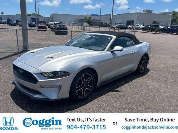 FORD MUSTANG 2019 1FATP8UHXK5148837 image