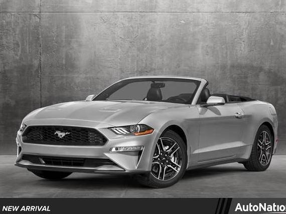 FORD MUSTANG 2019 1FATP8UH8K5159416 image