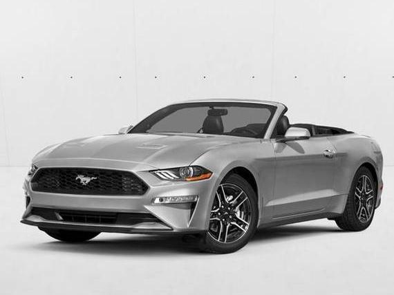 FORD MUSTANG 2019 1FATP8FFXK5116949 image FORD MUSTANG 2019 1FATP8FFXK5116949 image