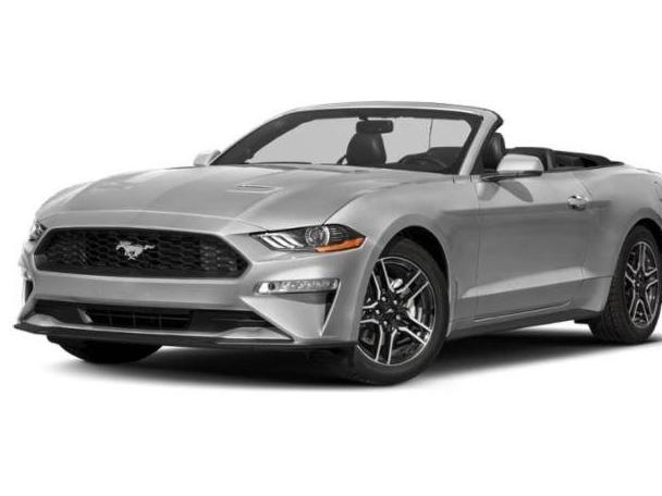 FORD MUSTANG 2019 1FATP8UH4K5135727 image