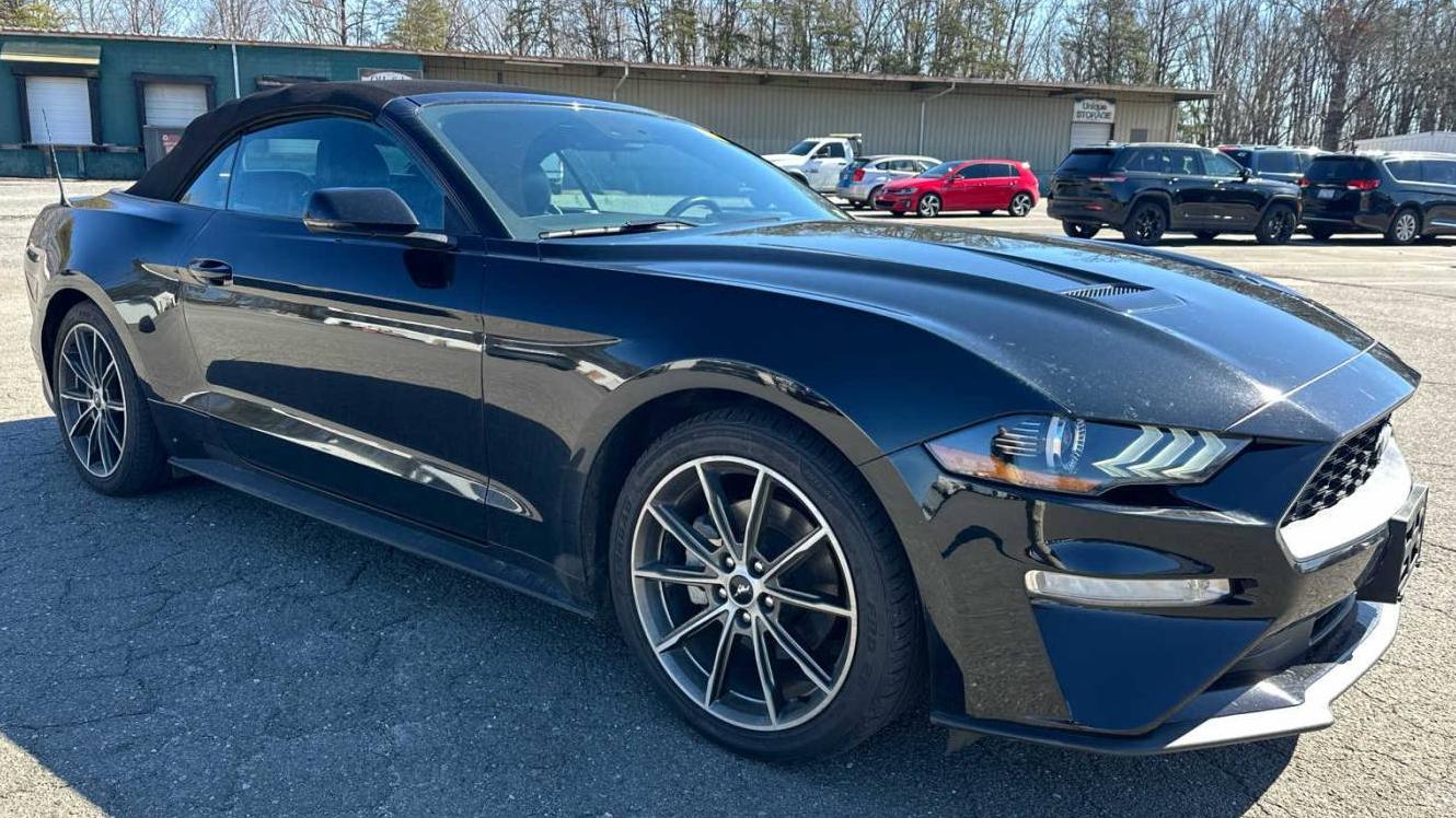 FORD MUSTANG 2019 1FATP8UH5K5159339 image