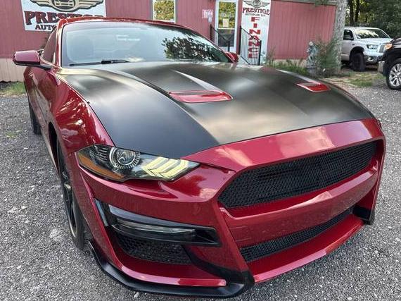 FORD MUSTANG 2019 1FA6P8TH6K5192638 image