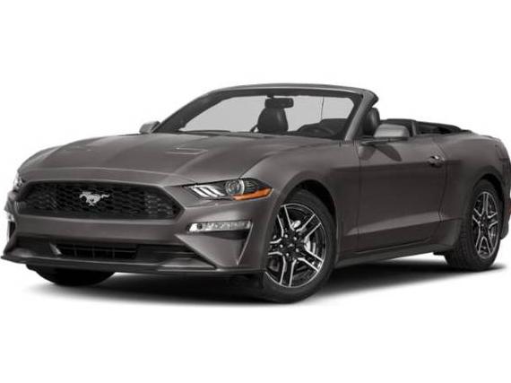 FORD MUSTANG 2019 1FATP8UH4K5179310 image