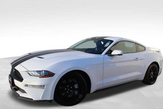 FORD MUSTANG 2019 1FA6P8TH4K5147844 image