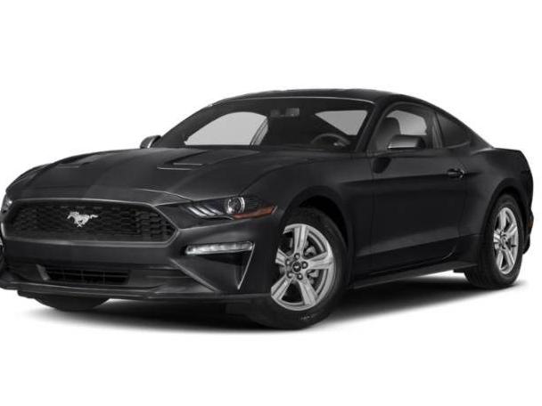 FORD MUSTANG 2019 1FA6P8THXK5150327 image