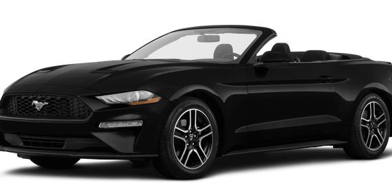 FORD MUSTANG 2019 1FATP8UH6K5159852 image