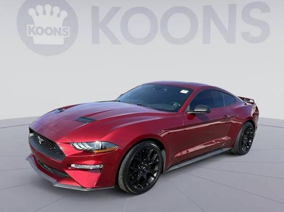 FORD MUSTANG 2019 1FA6P8TH8K5186761 image