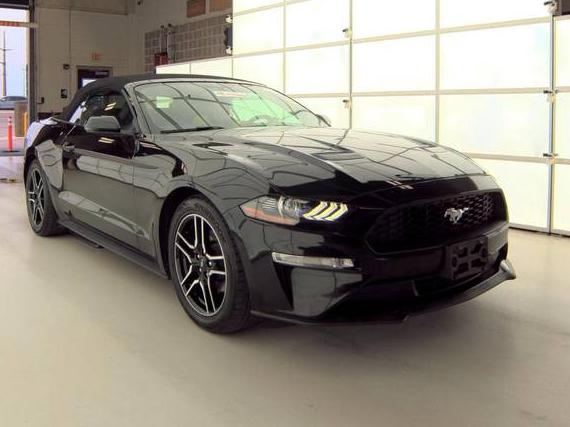 FORD MUSTANG 2019 1FATP8UHXK5170272 image