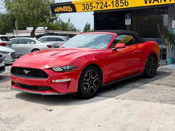 FORD MUSTANG 2019 1FATP8UH5K5138698 image