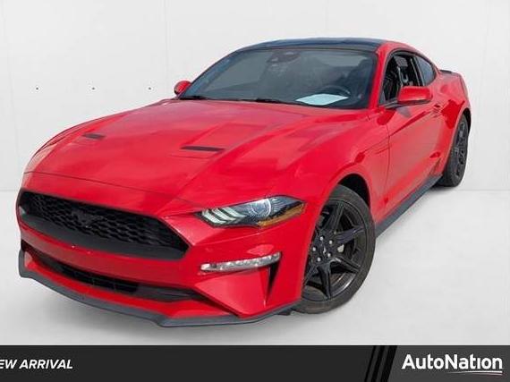 FORD MUSTANG 2019 1FA6P8TH4K5201434 image
