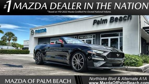 FORD MUSTANG 2019 1FATP8UH9K5178718 image