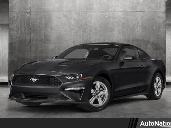 FORD MUSTANG 2019 1FA6P8TH3K5181158 image