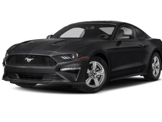 FORD MUSTANG 2019 1FA6P8TH3K5143588 image
