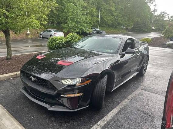 FORD MUSTANG 2019 1FA6P8TH4K5196039 image