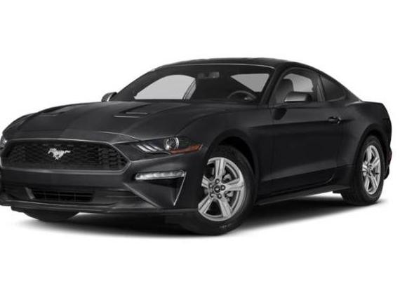 FORD MUSTANG 2019 1FA6P8THXK5133429 image
