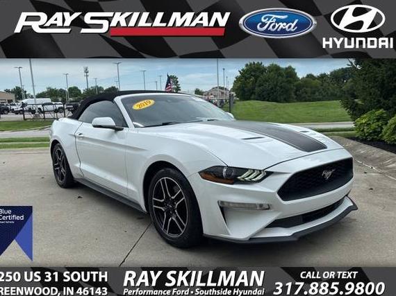 FORD MUSTANG 2019 1FATP8UH9K5205240 image