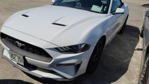 FORD MUSTANG 2019 1FATP8UH6K5131503 image