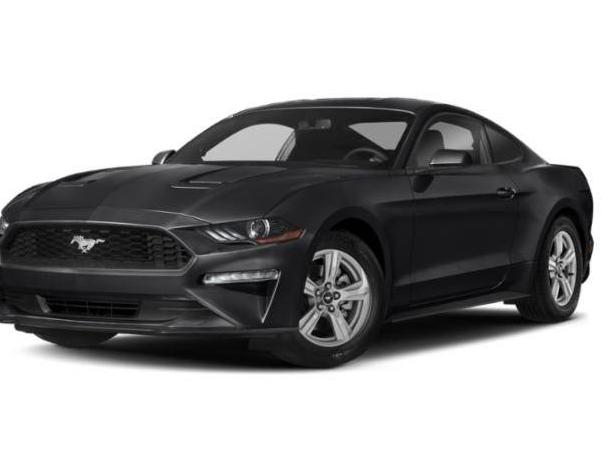 FORD MUSTANG 2019 1FA6P8TH7K5167442 image