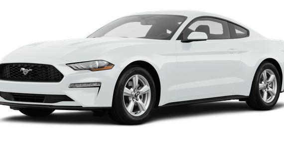 FORD MUSTANG 2019 1FA6P8TH7K5150415 image