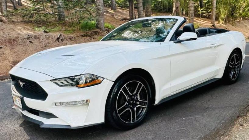 FORD MUSTANG 2019 1FATP8UH2K5170931 image