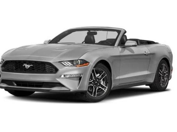 FORD MUSTANG 2019 1FA6P8K0XK5503516 image