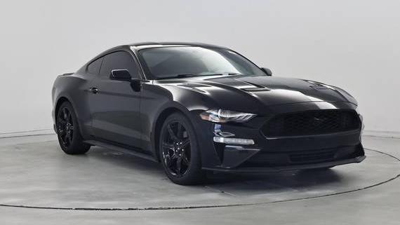 FORD MUSTANG 2019 1FA6P8TH8K5173525 image