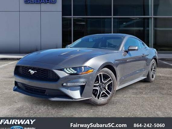 FORD MUSTANG 2019 1FA6P8TH3K5195657 image