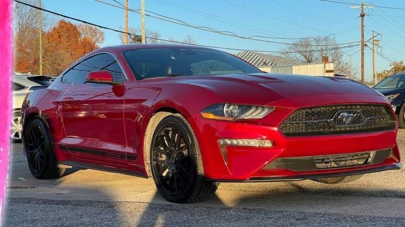 FORD MUSTANG 2019 1FA6P8TH5K5195787 image