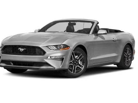 FORD MUSTANG 2019 1FATP8UH5K5149751 image