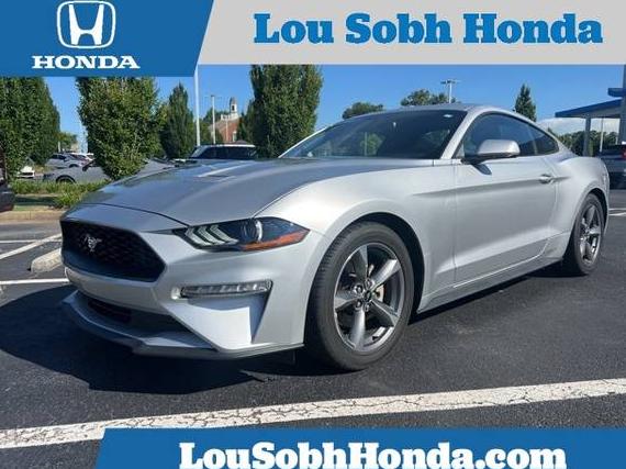 FORD MUSTANG 2019 1FA6P8TH7K5105443 image