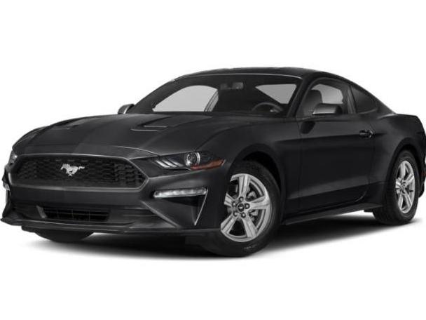 FORD MUSTANG 2019 1FA6P8THXK5125637 image